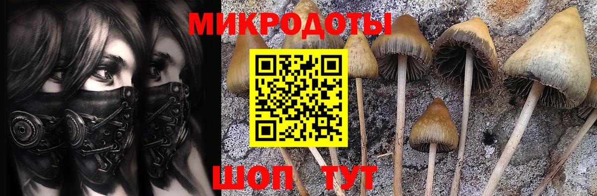 Галлюциногенные грибы прущие грибы Ефремов