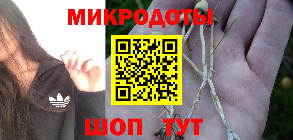 Ефремов  Псилоцибиновые грибы MAGIC MUSHROOMS  Вход с VPN  Галлюциногенные грибы прущие грибы 